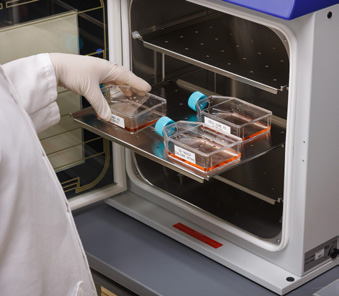 Fotografie s příkladem identifikace vzorků pomocí řešení nabízeného společností Brady