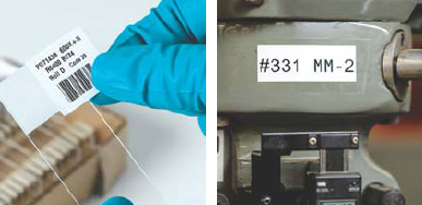 Brand examples workhorse